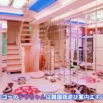 韓国 風俗 置屋 ミアリ