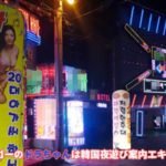 ソウル女夜遊び案内のエキスパートドの韓国 風俗 ゴーゴー がお伝えする韓国の夜の文化の違い。 韓国の夜の文化の違い