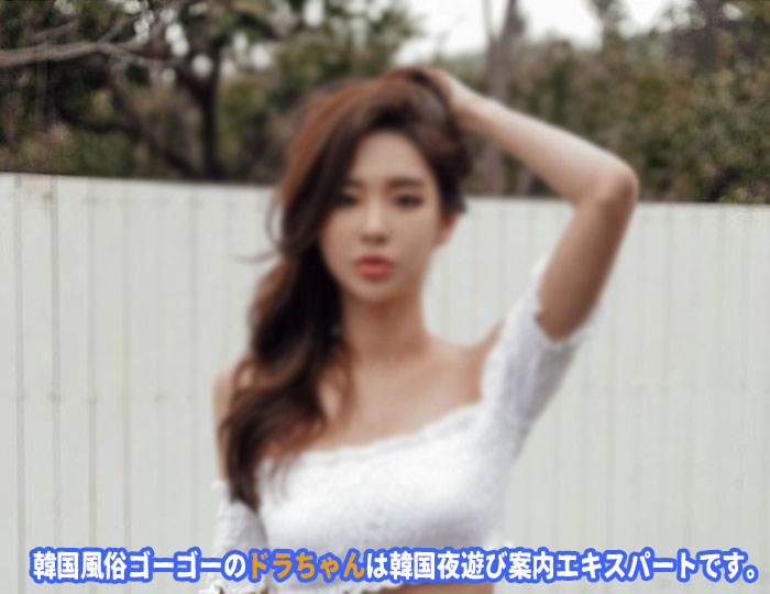 ソウル風俗韓国夜遊び の種類