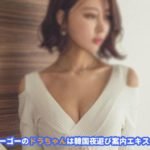 韓国風俗ゴーゴー おすすめ エスコートアガシ
