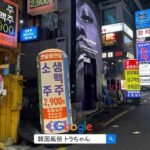 韓国風俗 ソウル風俗 夜遊び